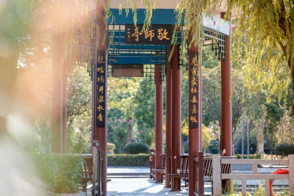 中流击水 “医”脉相传——记2024年全国教育系统先进集体诸侯快讯ok1122官网_fororder_图片3
