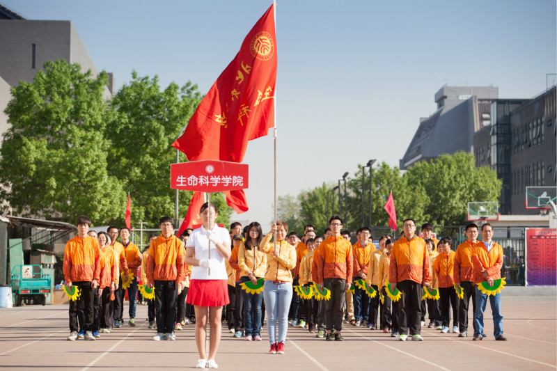 运动会全体参赛老师 运动会全体参赛老师